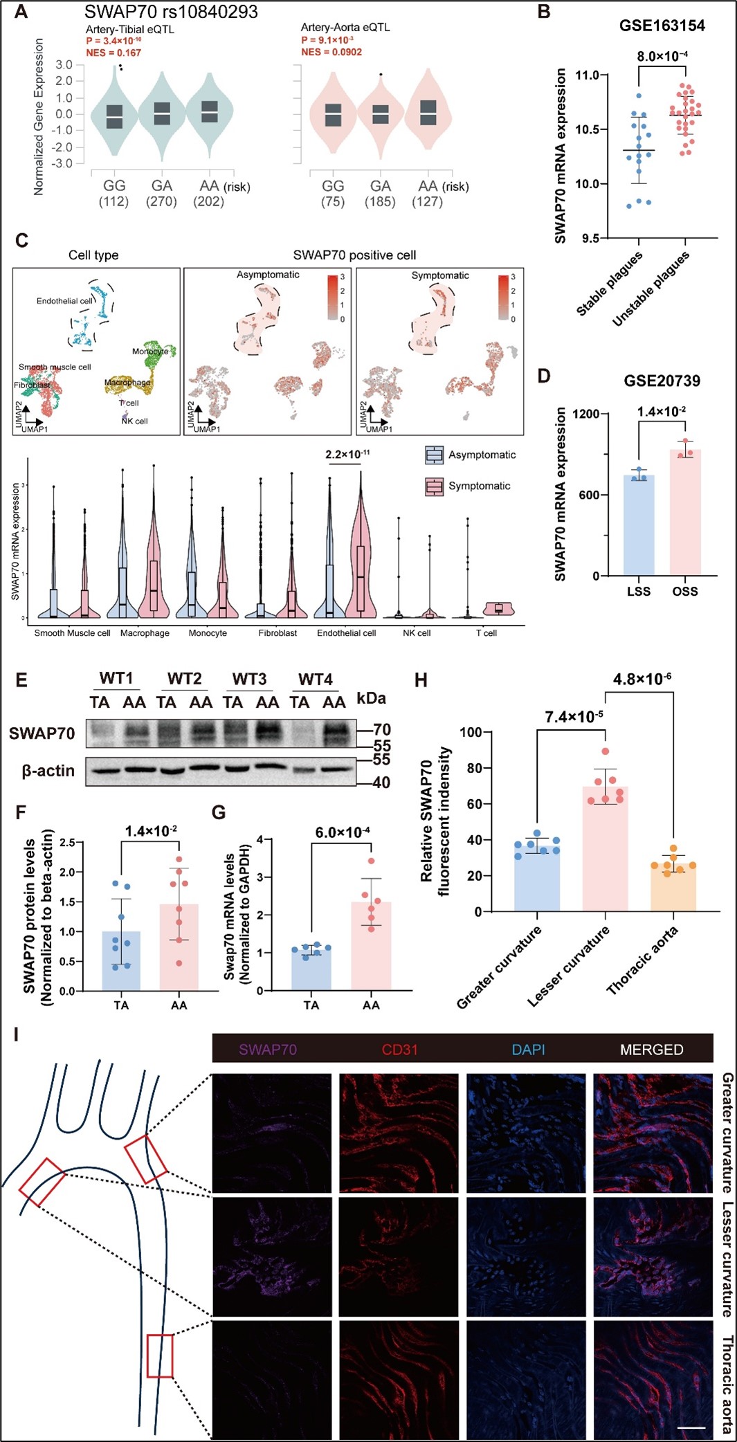 1769566939990164.jpg 图片1AaA.jpg