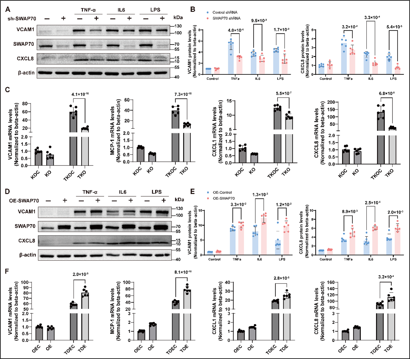 1769567091581062.png 图片2aaasas.png