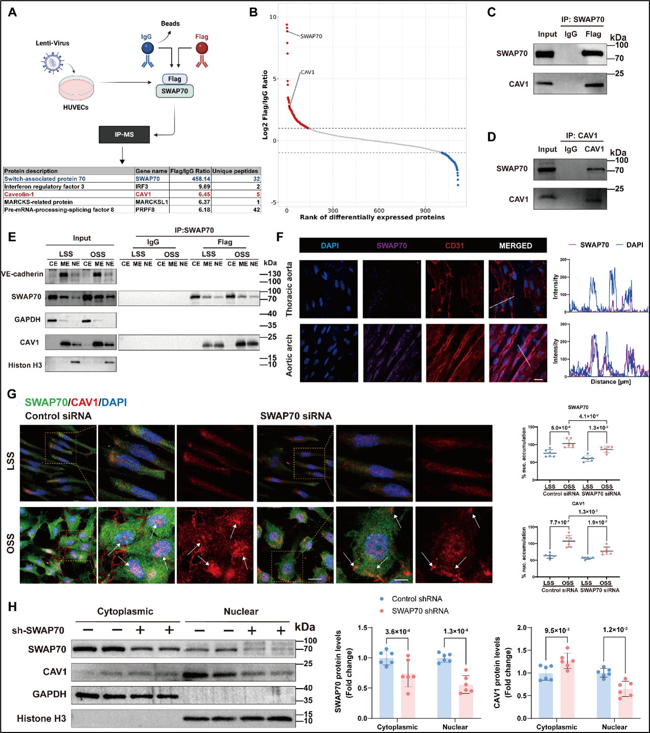 1769567115868871.png 图片3aaasas.png