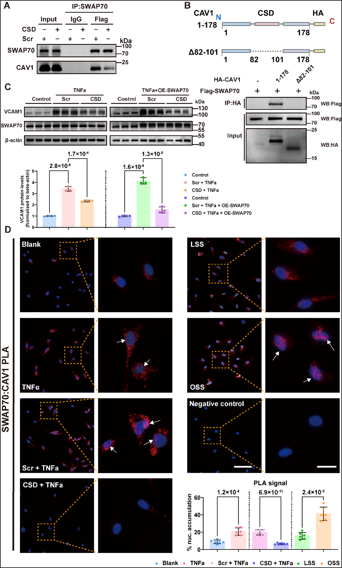1769567128868666.png 图片4sada.png
