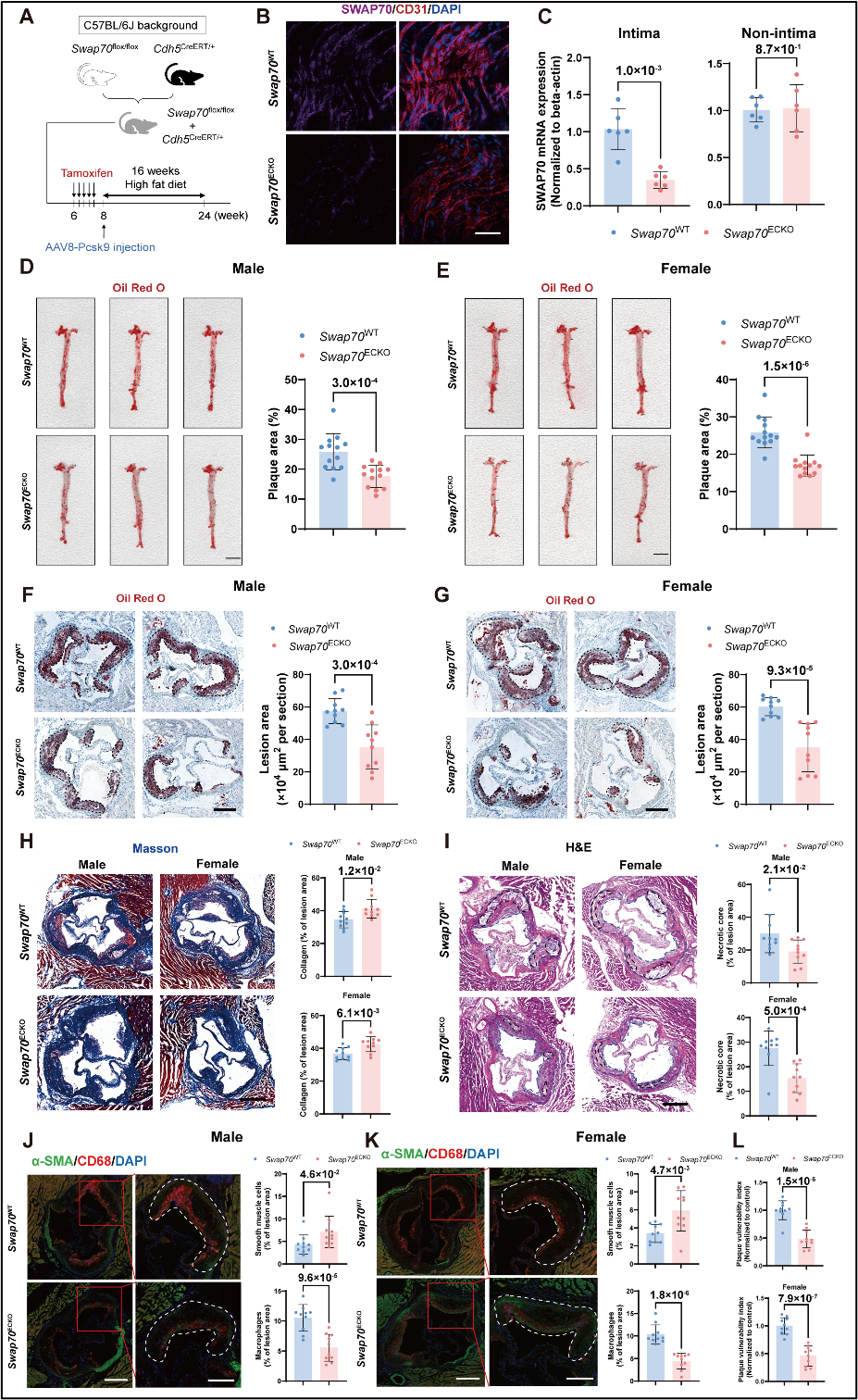 1769567156625380.png 图片5 asadadsad.png