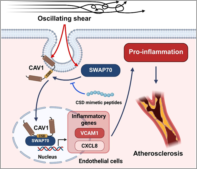 1769567177777492.png 图片6sadasdas.png
